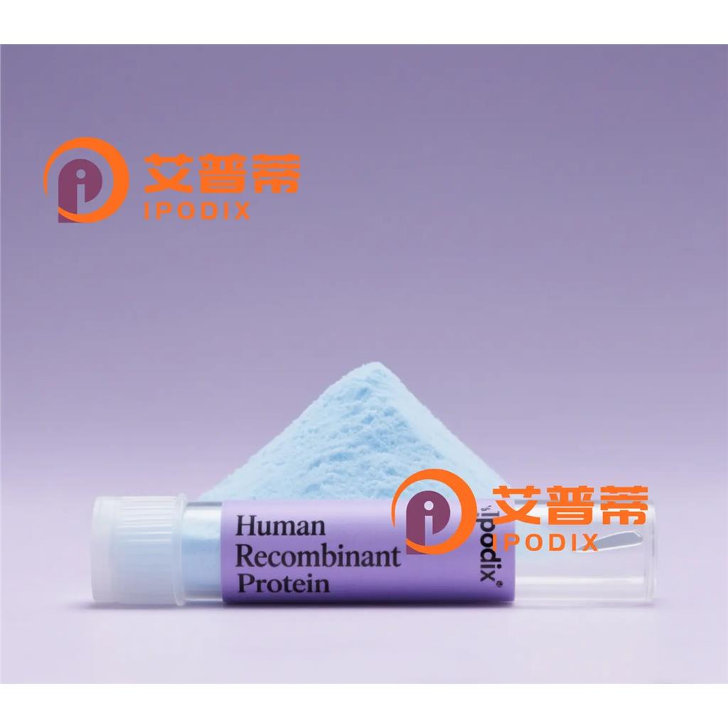 CA3抗體,Rabbit Polyclonal CA3 Antibody