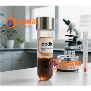 HLA-DOA抗體