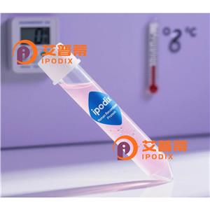 NR5A1抗体,Rabbit Polyclonal NR5A1 Antibody