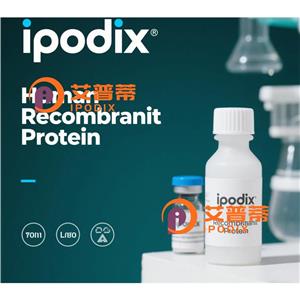 WDR74 抗体,Rabbit Polyclonal WDR74 Antibody