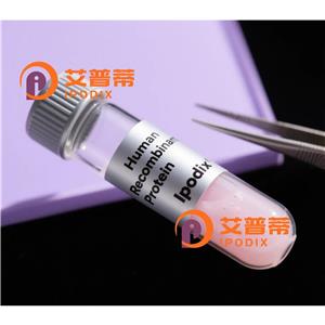 ICOSLG抗體,Rabbit Polyclonal ICOSLG Antibody