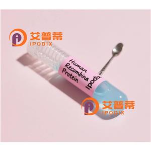 CEBPD抗体,Rabbit Polyclonal CEBPD Antibody