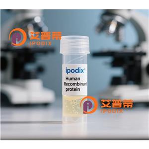 CADM4抗体,Rabbit Polyclonal CADM4 Antibody