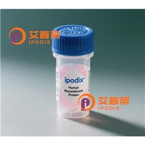 HACE1抗体,Rabbit Polyclonal HACE1 Antibody