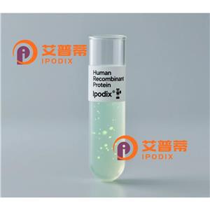 IMPAD1抗體,Rabbit Polyclonal IMPAD1 Antibody