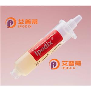 PNPT1抗体,Rabbit Polyclonal PNPT1 Antibody