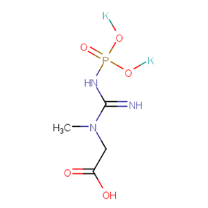 化合物 Phosphocreatine dipotassium|T19515|TargetMol
