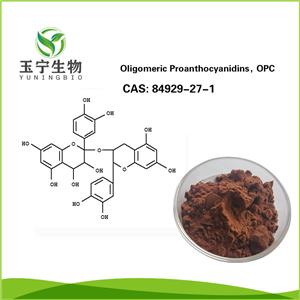 原花青素,Oligomeric Proanthocyanidins, OPC