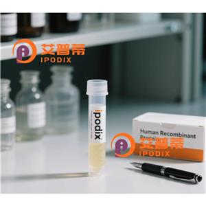 EGFL8抗体,Rabbit Polyclonal EGFL8 Antibody