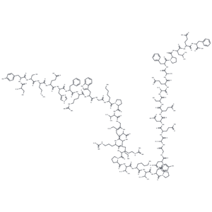ACTH (1-39) 人,ACTH (1-39) human