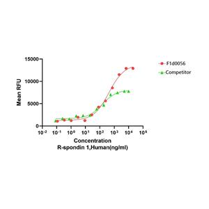 Recombinant Human R-Spondin1重組人R-Spondin1蛋白