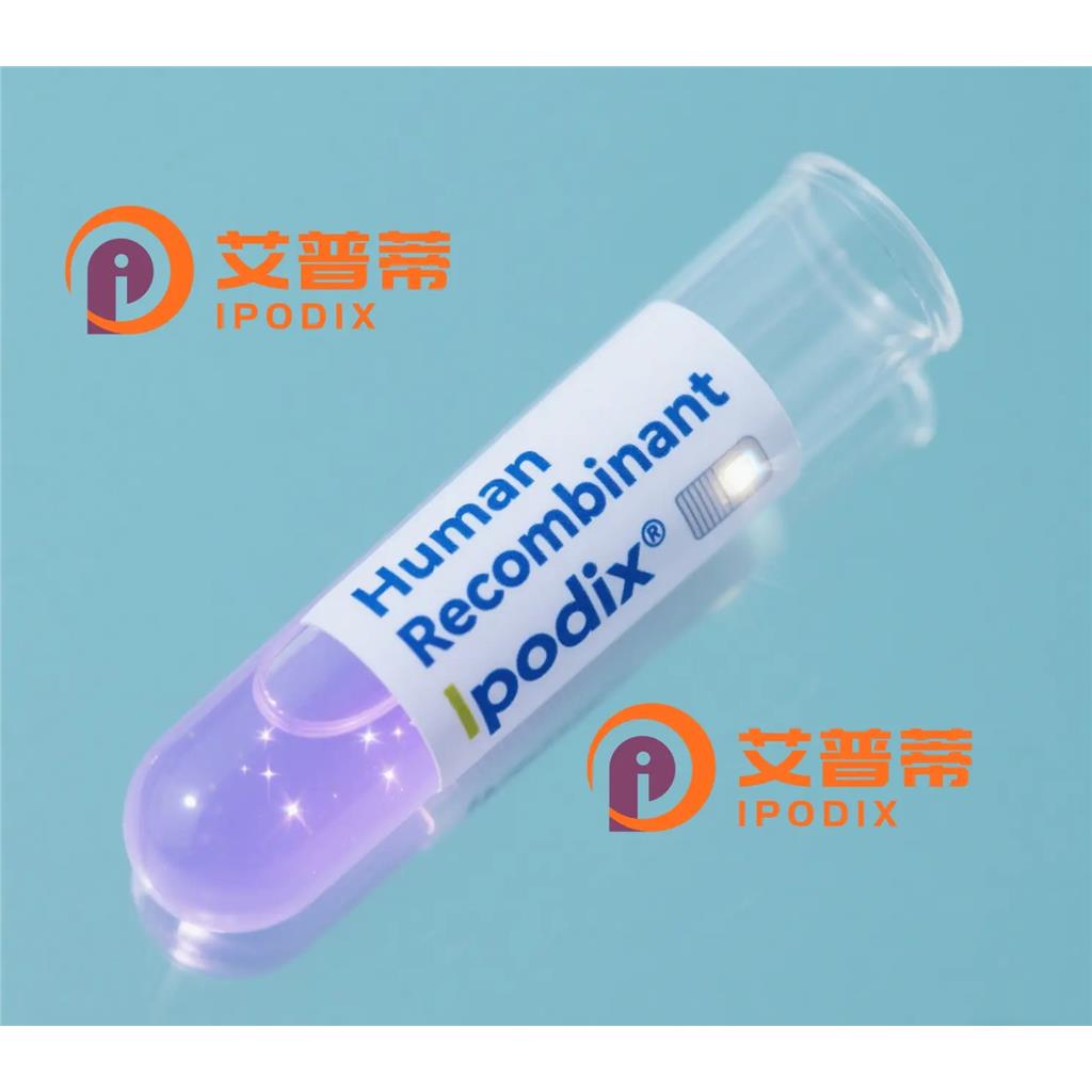 FGFR1抗體,Rabbit Polyclonal FGFR1 Antibody