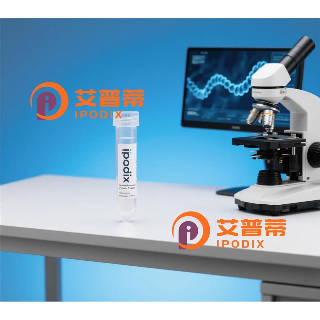 IRF4抗體,Rabbit Polyclonal IRF4 Antibody