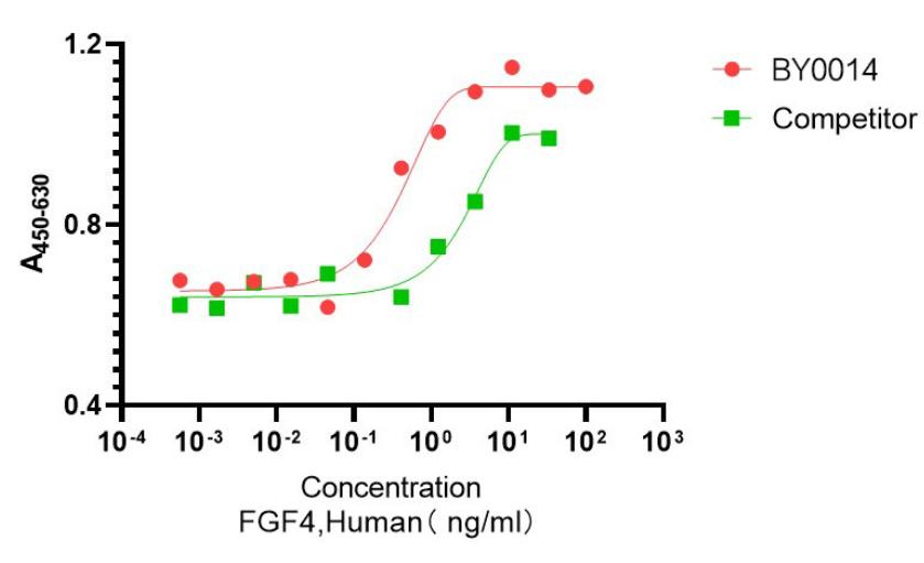 重组人成纤维细胞生长因子4,Recombinant Human FGF-4