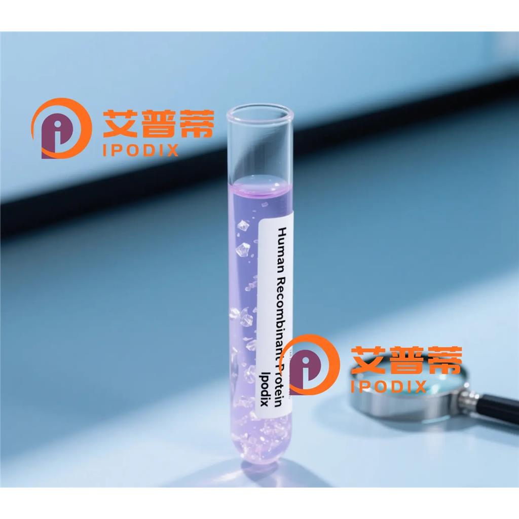 TEKT3抗体,Rabbit Polyclonal TEKT3 Antibody