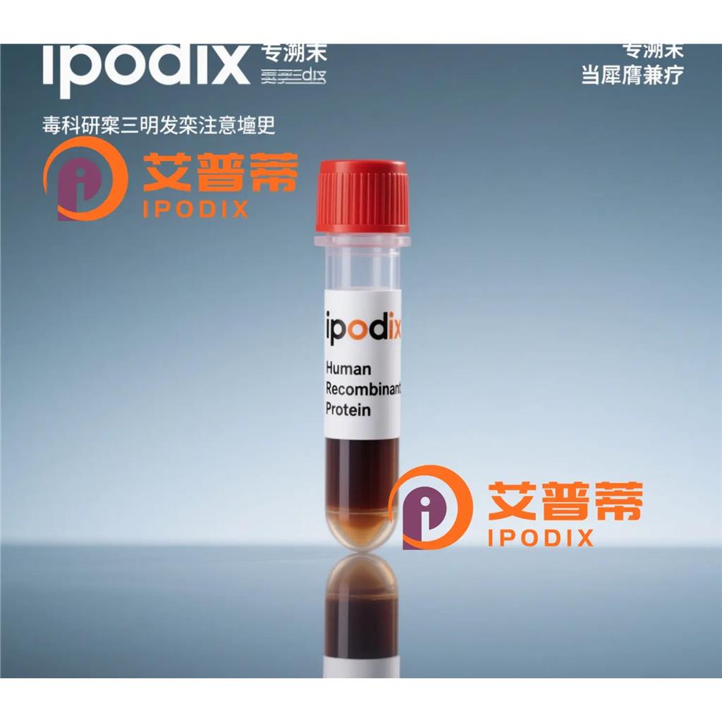 ACAD10抗体,Rabbit Polyclonal ACAD10 Antibody