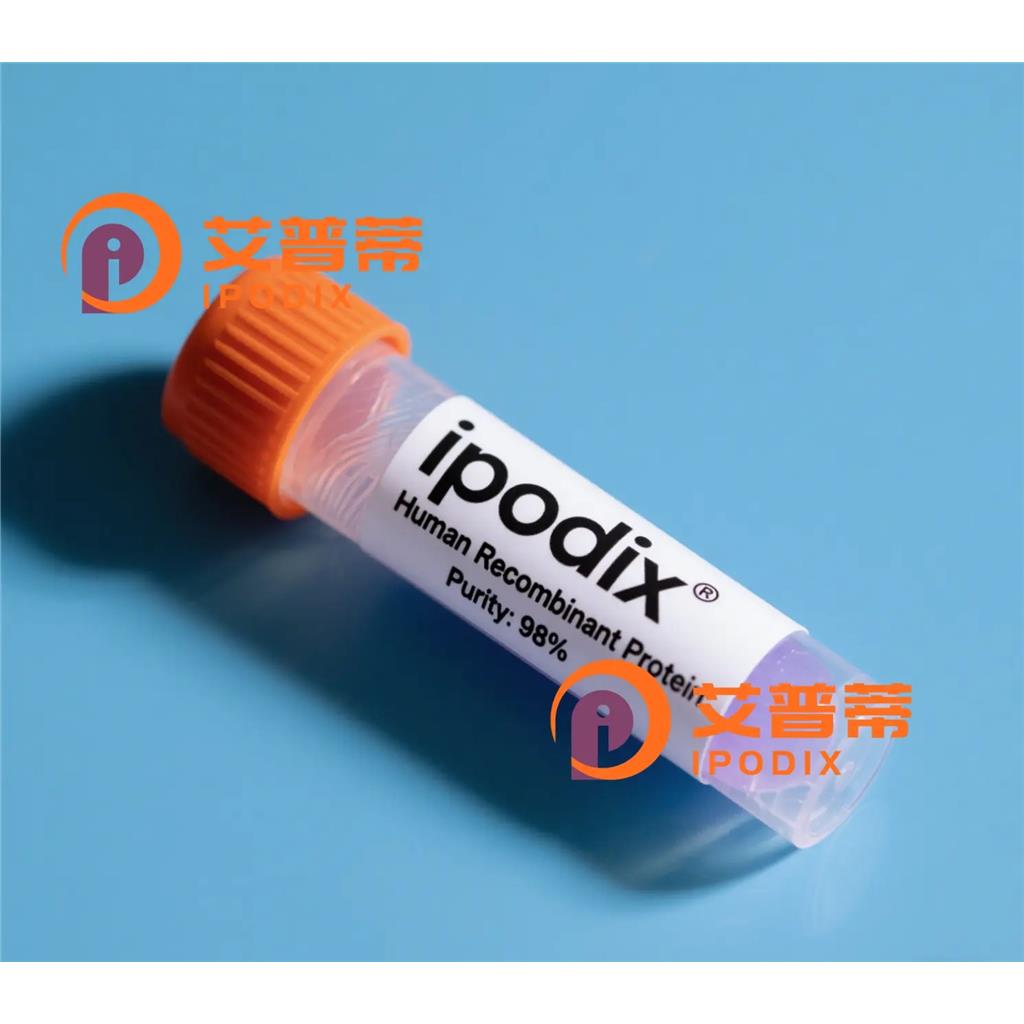 ARMCX1抗體,Rabbit Polyclonal ARMCX1 Antibody