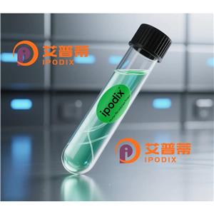 IRF4抗體,Rabbit Polyclonal IRF4 Antibody