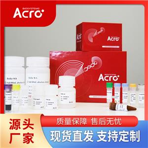 小鼠EGF R蛋白, Fc,Avitag