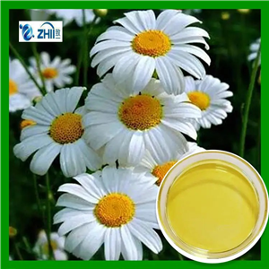 除虫菊提取物,Pyrethrum