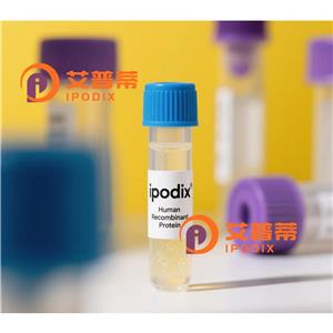RBMS2抗體,Rabbit Polyclonal RBMS2 Antibody