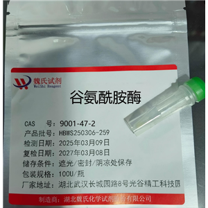 谷氨酰胺酶,Glutaminase from Escherichia coli