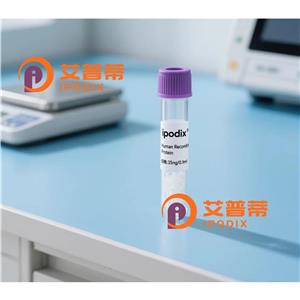 IDH3B抗体,Rabbit Polyclonal IDH3B Antibody