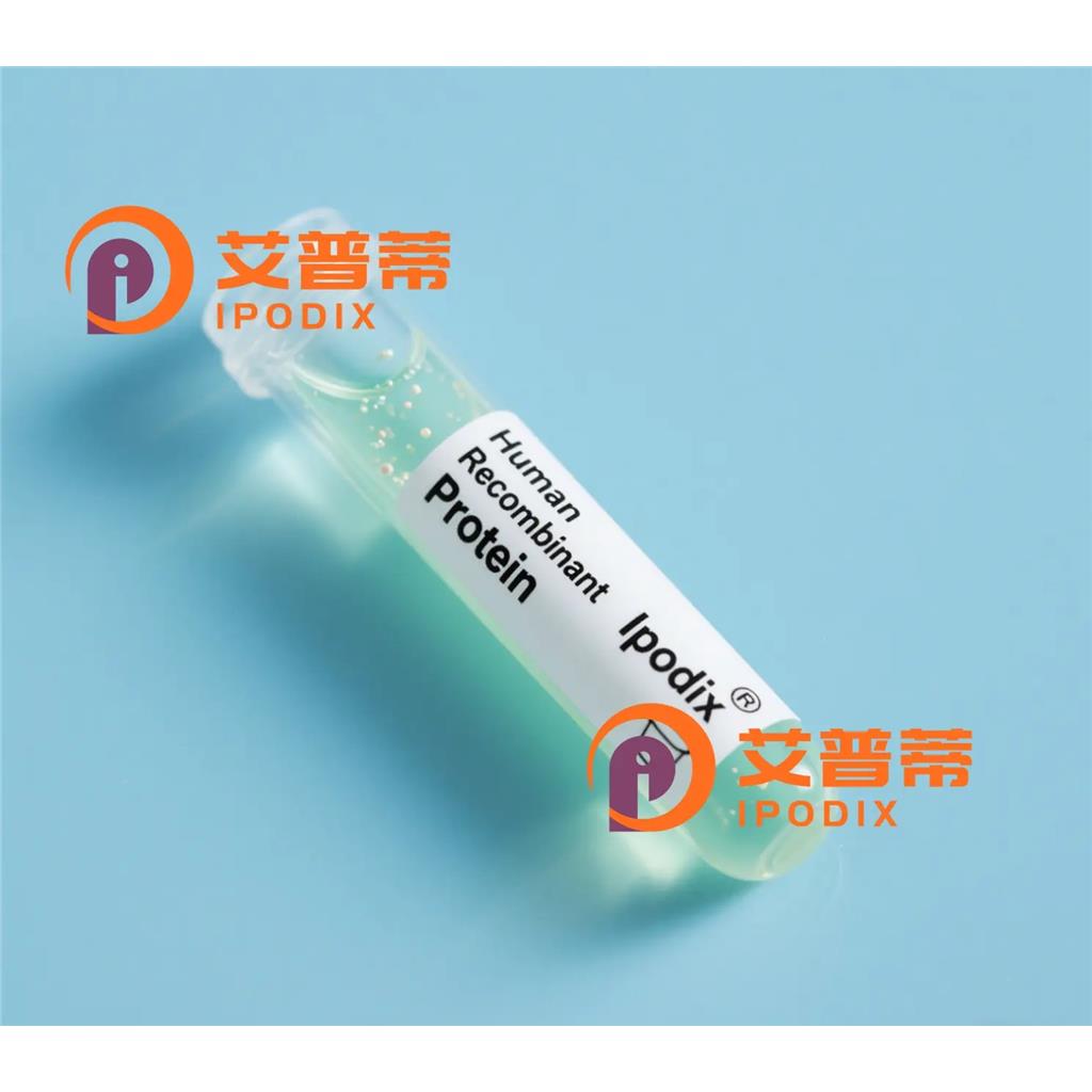 ETS2抗體,Rabbit Polyclonal ETS2 Antibody