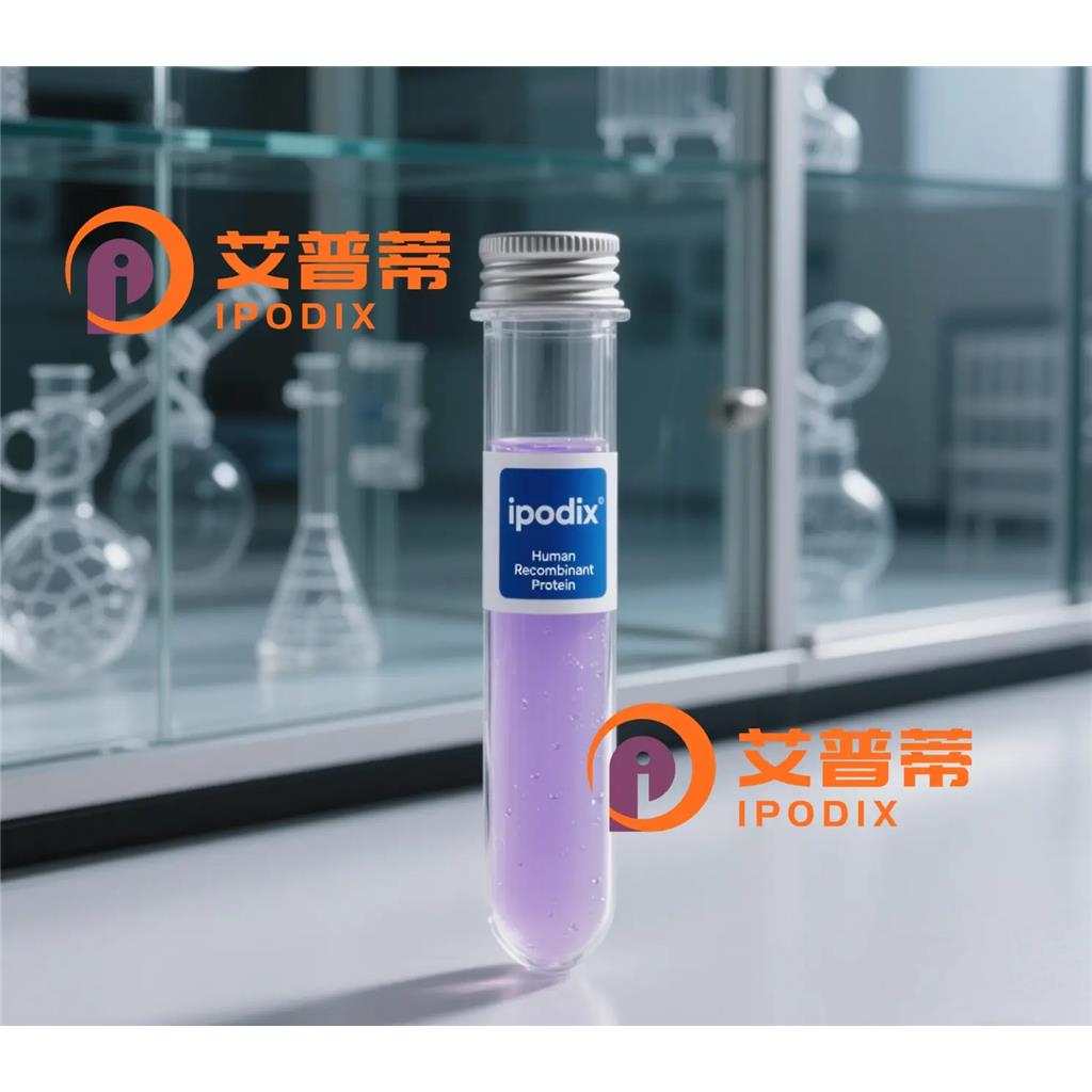 HSPA2抗体,Rabbit Polyclonal HSPA2 Antibody