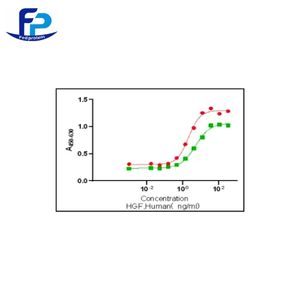 重組人肝細(xì)胞生長因子,Recombinant Human HGF