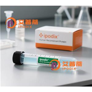 DCP1A抗体,Rabbit Polyclonal DCP1A Antibody