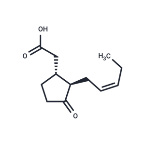 茉莉酸,Jasmonic acid