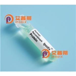 ETS2抗體,Rabbit Polyclonal ETS2 Antibody
