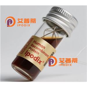 TLE1抗体,Rabbit Polyclonal TLE1 Antibody