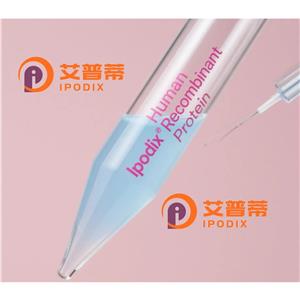 EPM2A抗体,Rabbit Polyclonal EPM2A Antibody