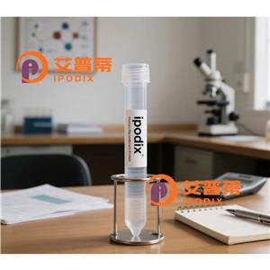 DGLUCY抗体,Rabbit Polyclonal DGLUCY Antibody