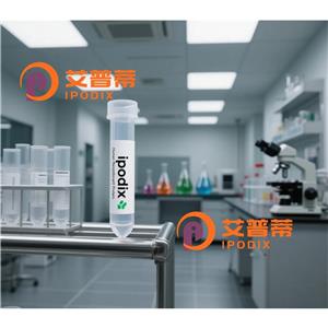 ORC4抗體,Rabbit Polyclonal ORC4 Antibody