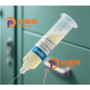 ORC4抗體,Rabbit Polyclonal ORC4 Antibody