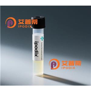 ORC4抗體,Rabbit Polyclonal ORC4 Antibody