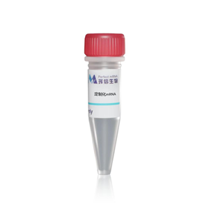 定制化mRNA, Cutomized mRNA,