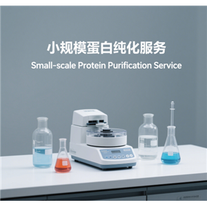 小规模蛋白纯化服务,Small-scale Protein Purification Service