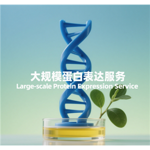 大规模蛋白表达服务