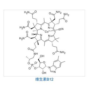 維生素B12