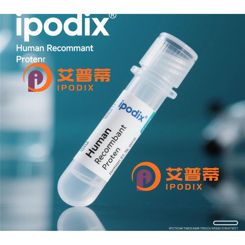 MED12抗体,Rabbit Polyclonal MED12 Antibody