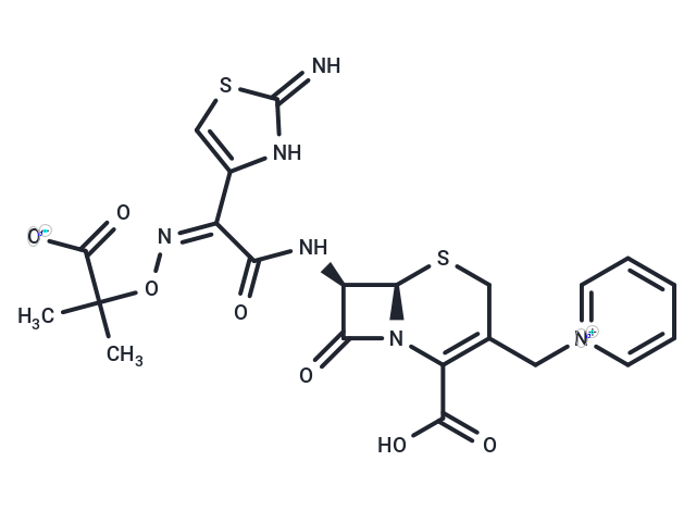 頭孢他啶,Ceftazidime
