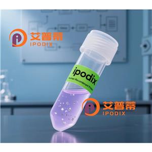 SCN1B抗体,Rabbit Polyclonal SCN1B Antibody