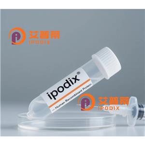SEMA6D 抗體,Rabbit Polyclonal SEMA6D Antibody
