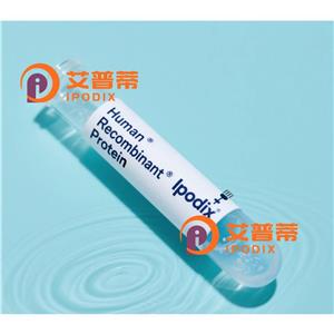 SEMA6D 抗體,Rabbit Polyclonal SEMA6D Antibody