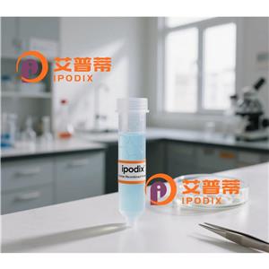 MED12抗体,Rabbit Polyclonal MED12 Antibody
