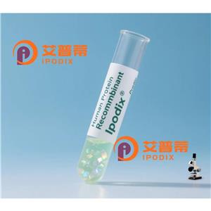 TRIB1抗體,Rabbit Polyclonal TRIB1 Antibody